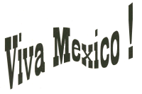 Viva Mexico logo